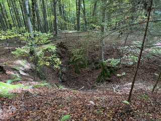 Hedwig střední dobývka | Zlaté Hory, Karlova Studánka