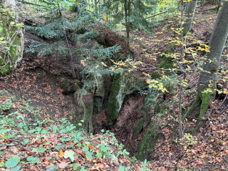 Jelení cesta - Jáma Hedwig č. o. 143c | Zlaté Hory, Karlova Studánka