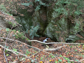 Jelení cesta - Jáma Hedwig č. o. 143c | Zlaté Hory, Karlova Studánka