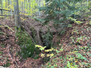 Jelení cesta - Jáma Hedwig č. o. 143c | Zlaté Hory, Karlova Studánka