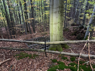 Malá Morávka - sever F | Zlaté Hory, Karlova Studánka