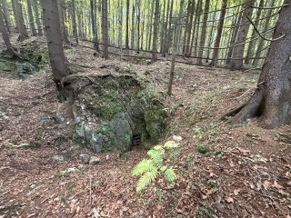 Štola Javorový vrch 4 - Schlögel - důl | Zlaté Hory, Karlova Studánka